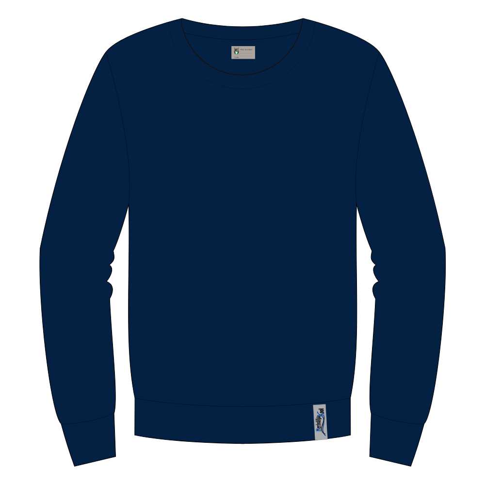 Sviiter Sinine Kassikakk